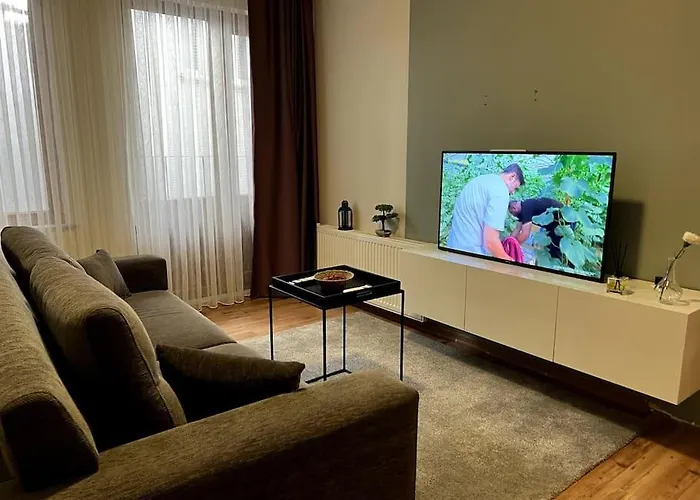 Comelivego Cihangir 21